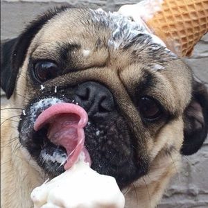 Meet your Posher, Francesca